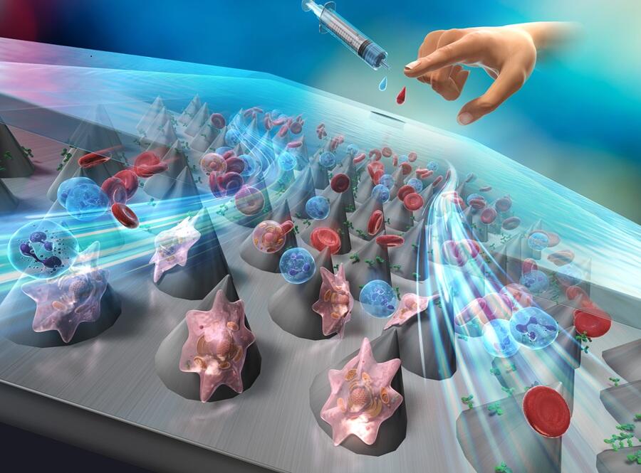 Detecting Cancer Cells in Blood: The Development of Microchannel Devices with Microcone Arrays, Masumi YAMADA, Professor, Graduate School of Engineering