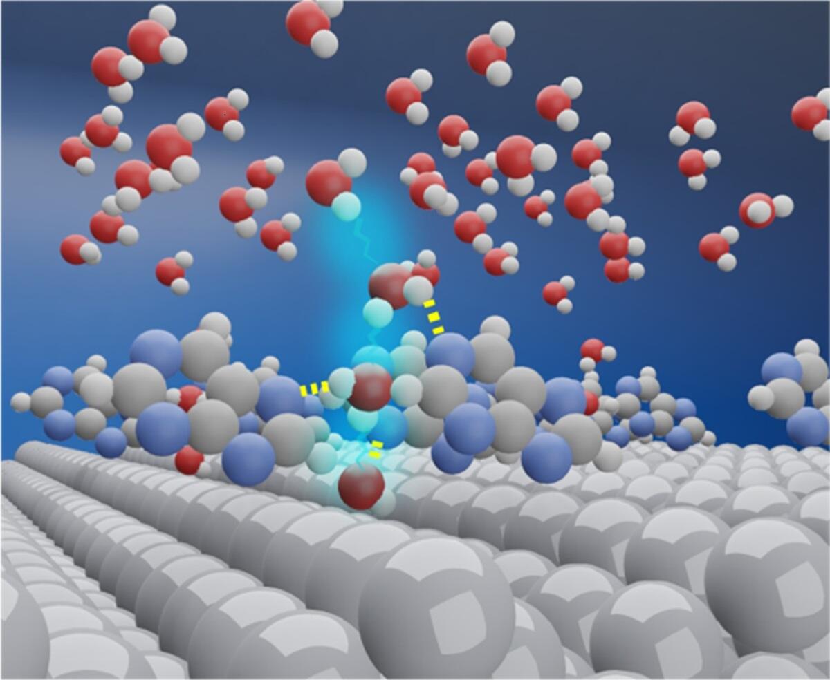 Purine-Modified Platinum Electrodes Could Cut Hydrogen Costs, Masashi NAKAMURA, Professor, Graduate School of Engineering