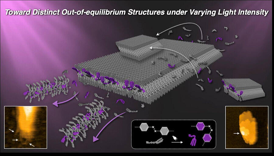 Light-intensity-dependent transformation of mesoscopic molecular assemblies, Shiki YAGAI, Professor, Institute for Advanced Academic Research / Graduate School of Engineering